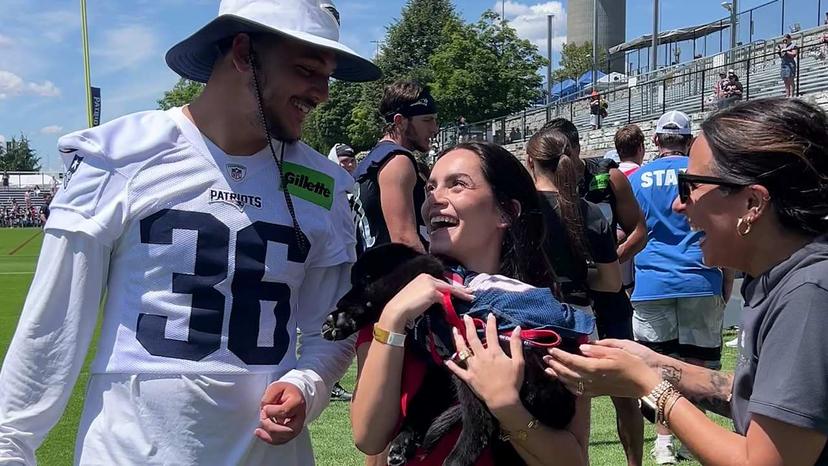 No Spotlight, No Cheers: Patriots’ Silent Warrior Quietly Brings Hope to Vulnerable Creatures